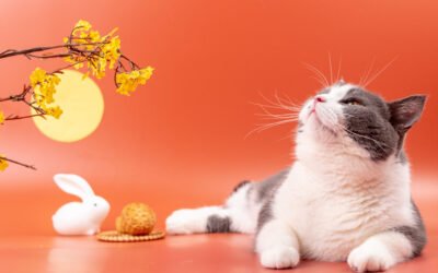 🏮 中秋限定：線上預購【超值餐】享雙重好康！