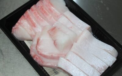海鱺是什麼魚？為什麼老饕都點牠